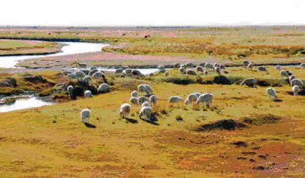 66号公路有什么特别之处,美国66号公路和中国哪条路类似