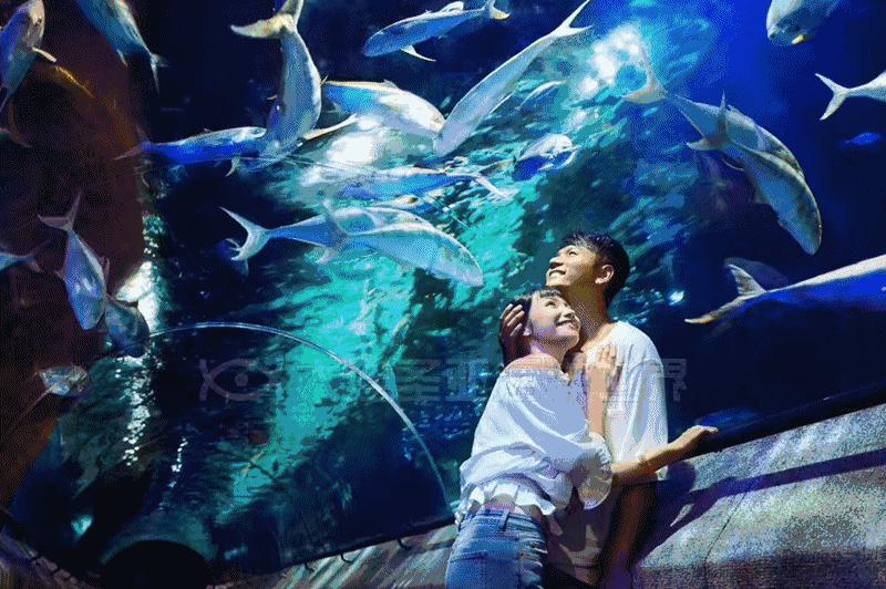 大连圣亚海洋世界门票老年优惠,大连圣亚海洋世界门票六一打折吗