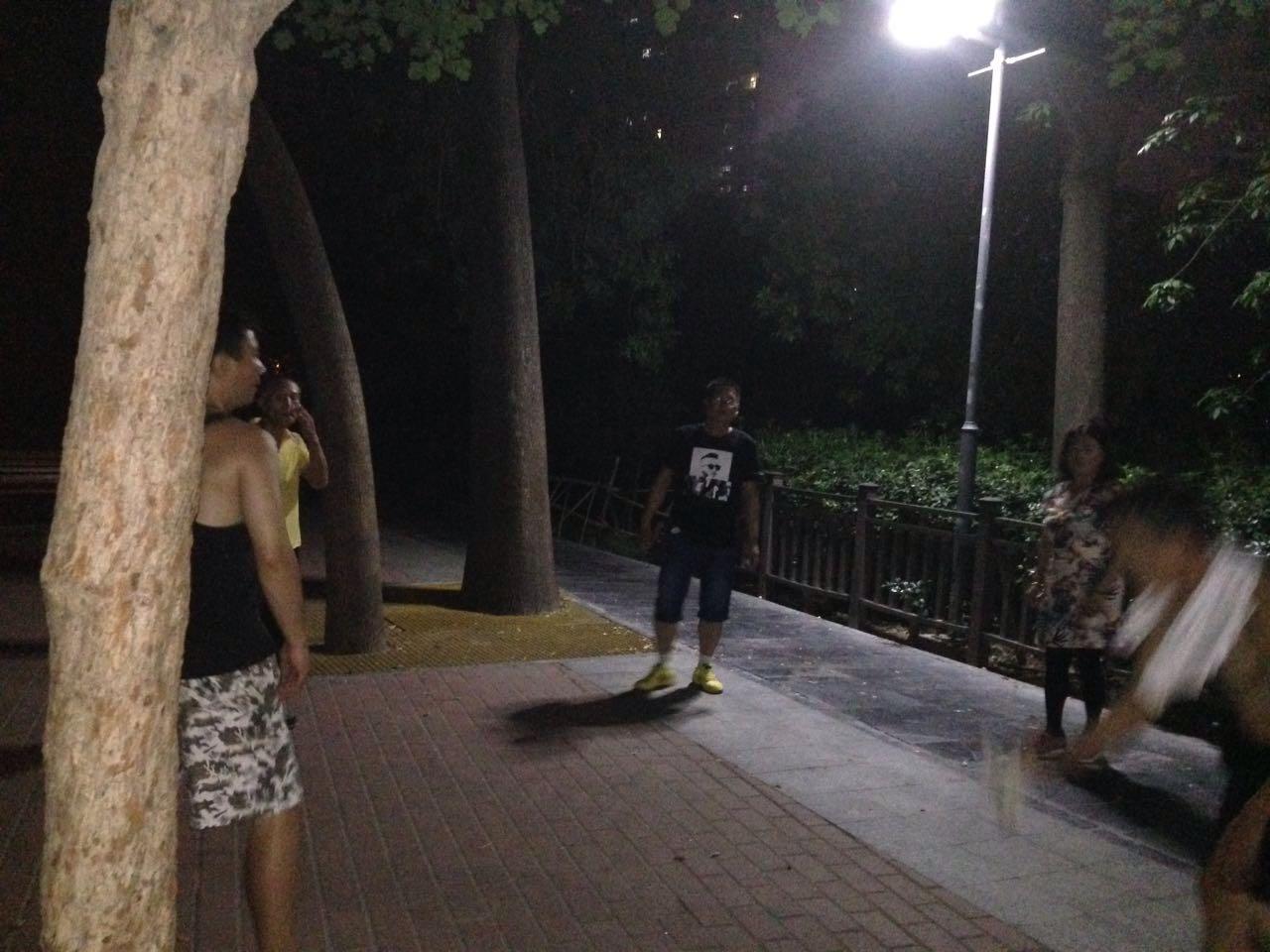 公园之夜推荐,绿荫公园夏季