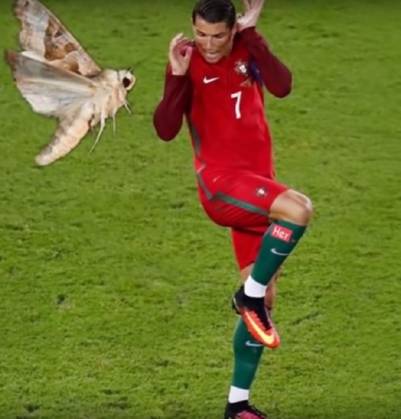 不信你不笑搞笑片段,不信你不笑国外搞笑视频集锦