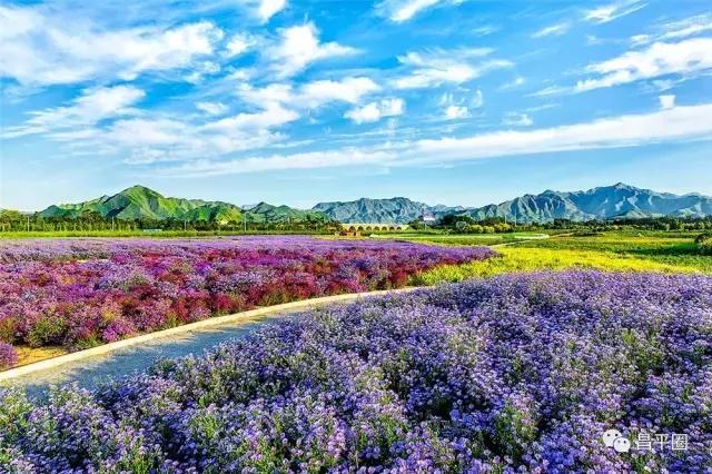 昌平北七家亲子游玩推荐,昌平一日游景点大全集