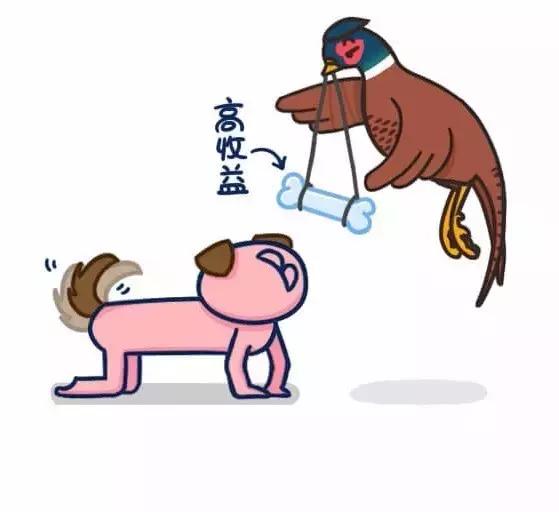 如何避免掉入“野鸡”平台的陷阱｜念钱安小课堂