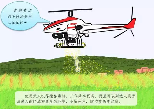 防止红火蚁咬,防范红火蚁入侵的对策建议