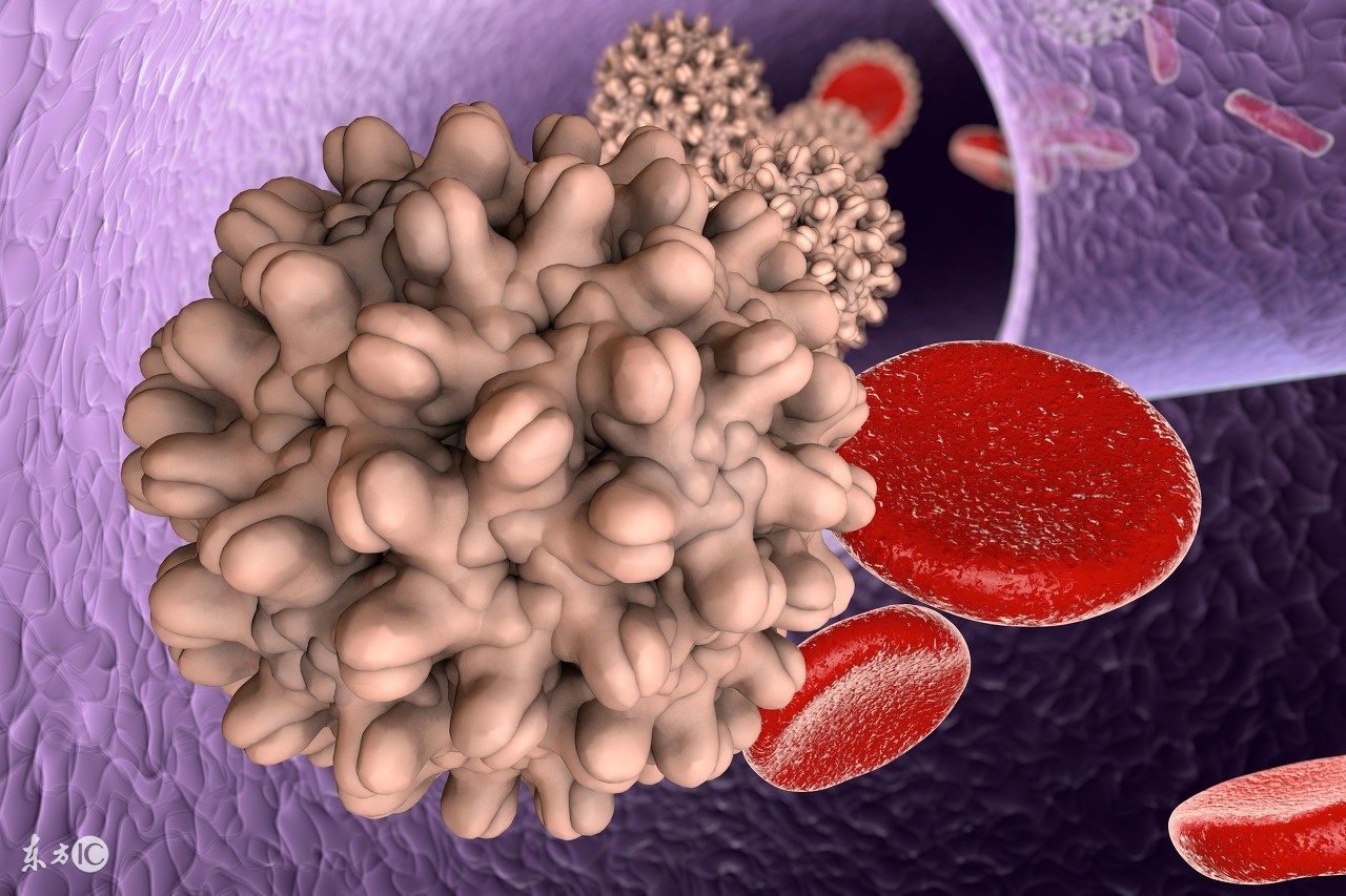 乙肝停药后打了疫苗还会反弹吗,乙肝停药后反弹还能喂母乳吗