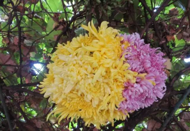 三月建水好去处,国庆建水旅游景点