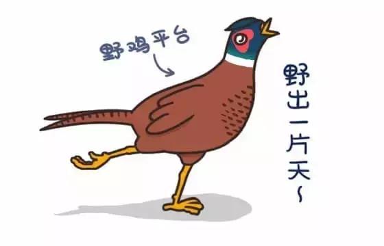 如何避免掉入“野鸡”平台的陷阱｜念钱安小课堂