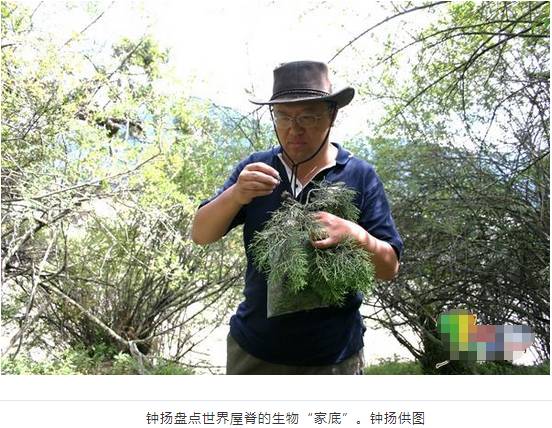 复旦大学教授车祸死亡,复旦教授在西藏遇车祸死亡