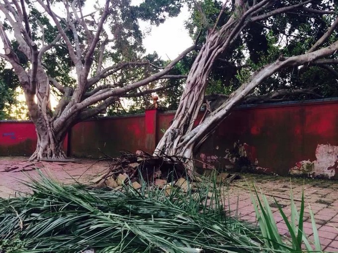 在三亚的沙滩上晒太阳,三亚海边晒太阳