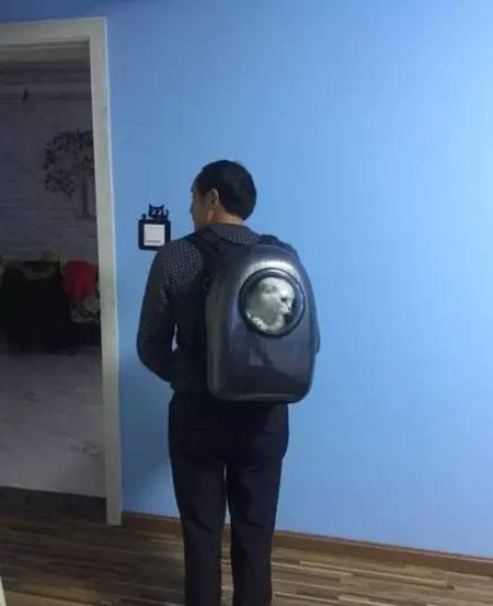 家长不让养宠物怎么办,家长不让孩子养宠物的原因的视频