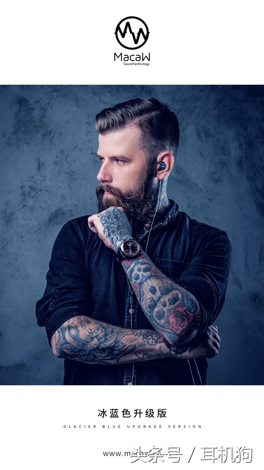 千元最强楼氏动铁耳机,楼氏动铁耳机