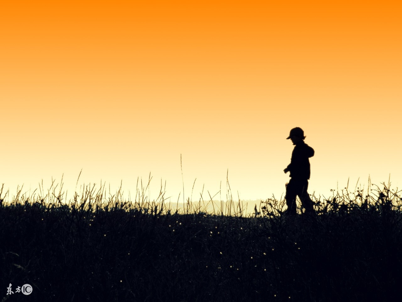 系统化交易技巧,系统化交易者