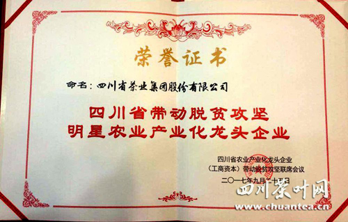 助力脱贫攻坚先进集体事迹,生态茶产业助力脱贫攻坚