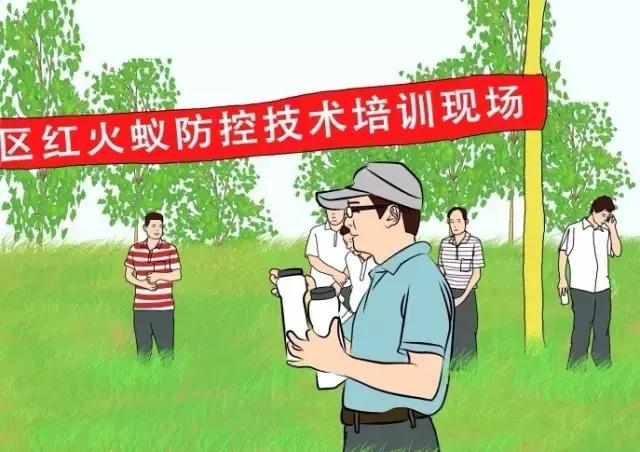 防止红火蚁咬,防范红火蚁入侵的对策建议