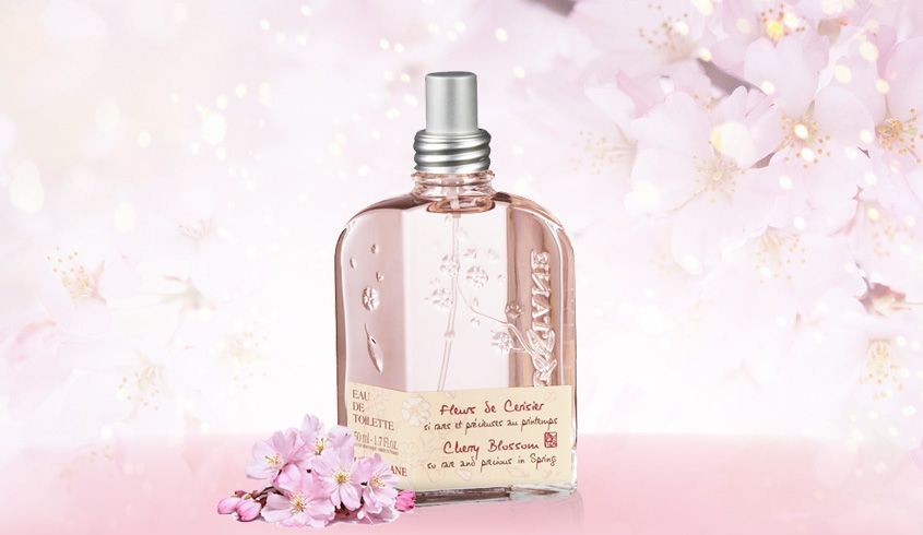 6款香氛推荐女性增强职场魅力法宝