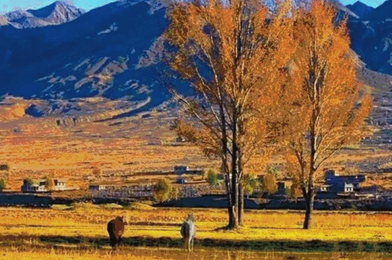 66号公路有什么特别之处,美国66号公路和中国哪条路类似