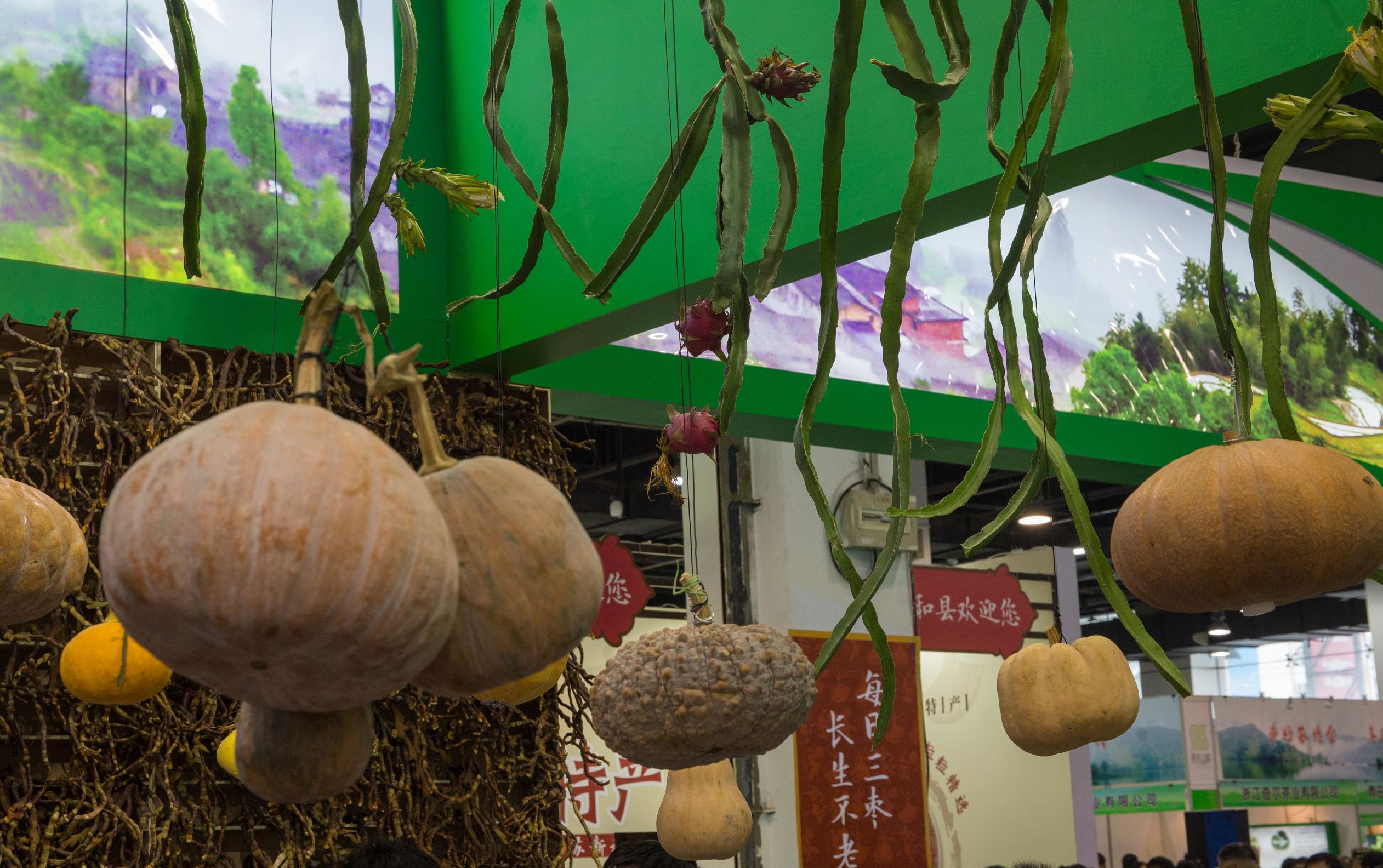 浙江农博会藏梨,在展博会体验满满未来感