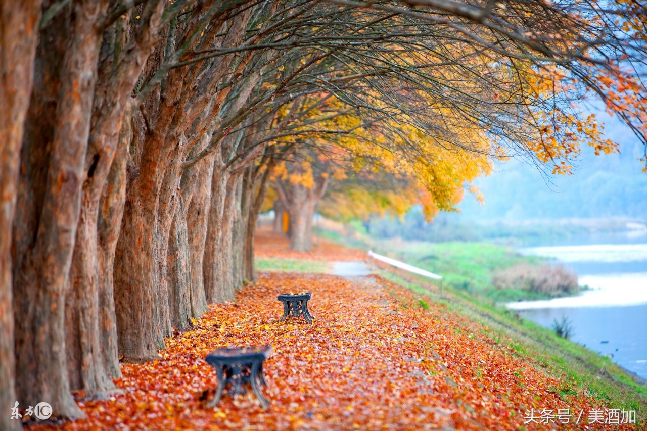 国庆中秋连休,适合秋天喝的酒推荐
