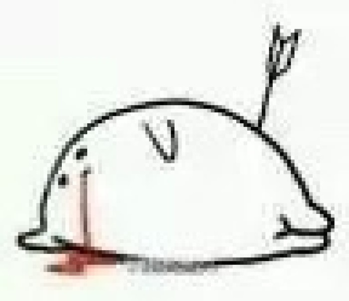 崩坏3测试服7.1,崩坏31.5测试服