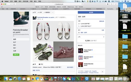 椰子假鞋事件,假椰子鞋事件