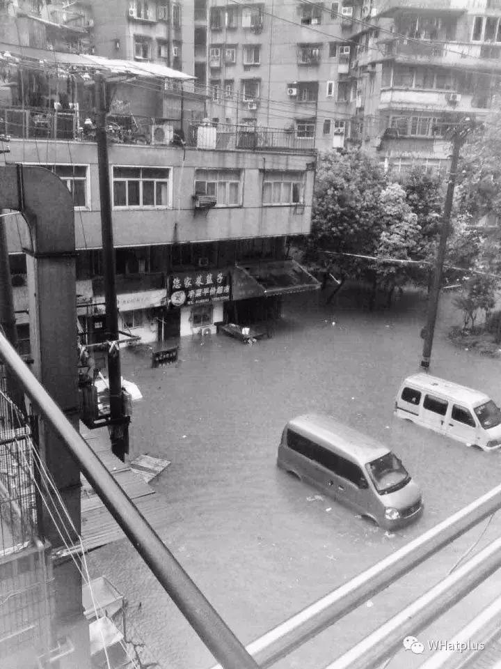 看不见的冬笋,武汉万松园小区