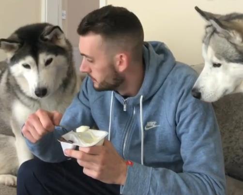 养宠物真的很浪费时间和精力吗,没有经济跟精力养宠物狗怎么办