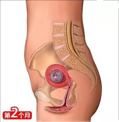 生娃关注事项及经验总结,26个从怀孕到生娃的母婴常识