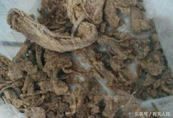 自制酒米野钓爆护,泡酒米钓鱼制作