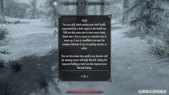 上古卷轴5生存模式有必要开启吗,上古卷轴5身处困境任务