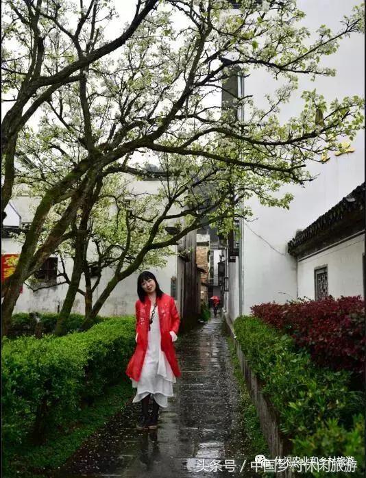 农村休闲农业17种卖点值得收藏,休闲农业与乡村美食