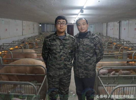 如何管理猪场,猪场管理技巧和方法