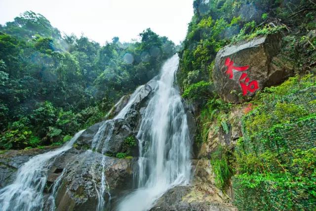 自由行天子山旅游攻略,天子地风景区拍照攻略