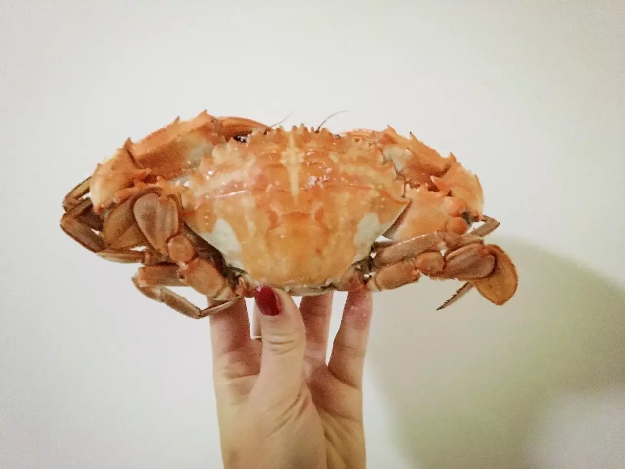 中秋节你们收到月饼吗,中秋节你们都有收到月饼吗