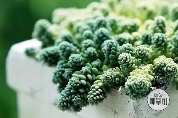 在上海打工怎么月入两万,月入2000如何在上海活下去