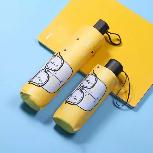 夏日出门必备装备,雨天必备的装备有哪些呢