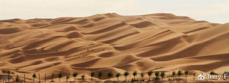 NiSi耐司微分享｜113期Terry-F：告别游客照，这样拍才美得像壁纸！