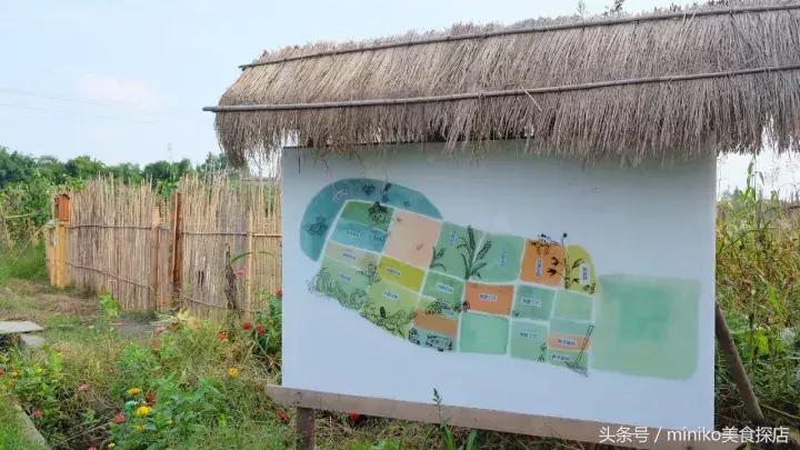 成都周边农场推荐,成都周边最有特色的农场