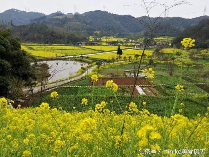 成都周边农场推荐,成都周边最有特色的农场