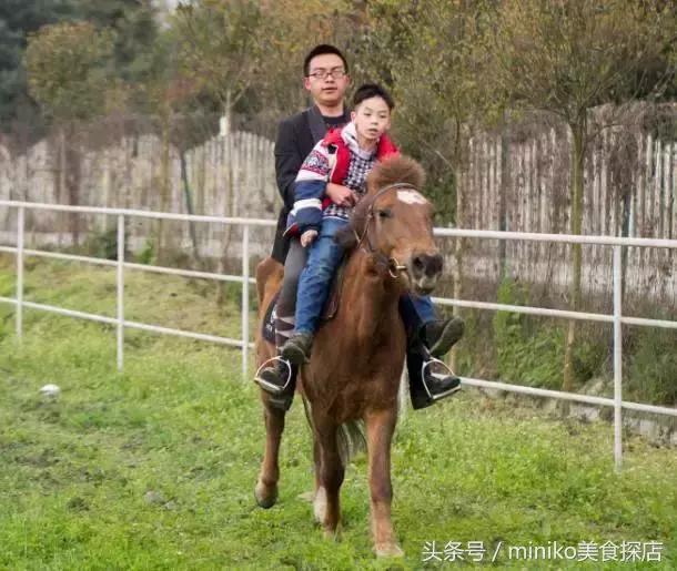 成都周边农场推荐,成都周边最有特色的农场