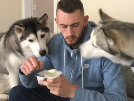 养宠物真的很浪费时间和精力吗,没有经济跟精力养宠物狗怎么办