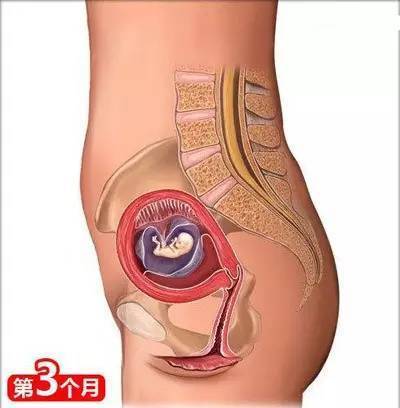 生娃关注事项及经验总结,26个从怀孕到生娃的母婴常识