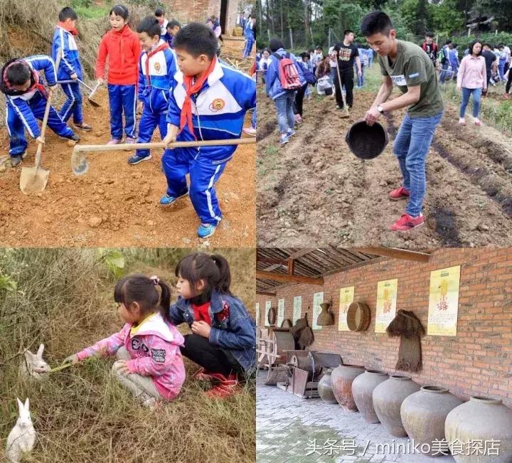成都周边农场推荐,成都周边最有特色的农场