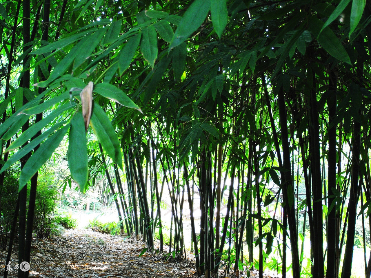 你为什么总觉得你很穷,你为什么穷因为认知太低