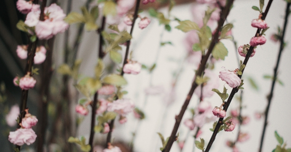 大婚前夜未婚妻失踪，我苦寻多日竟在我家发现她踪迹