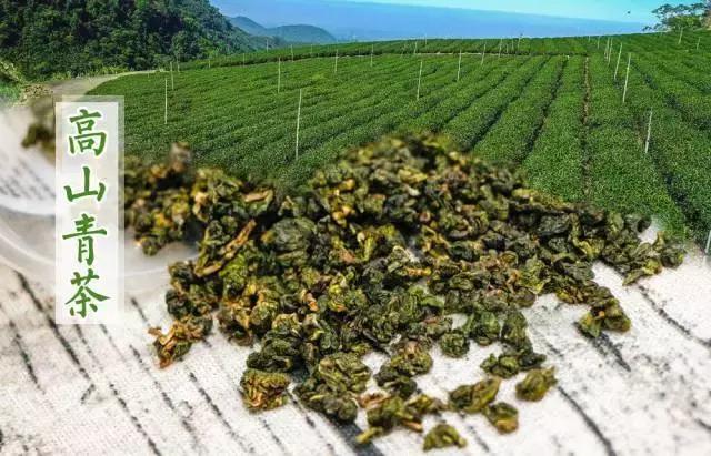 江阴人终于等来了幸福侯彩擂，还有每天仅供50杯的金砖果茶……