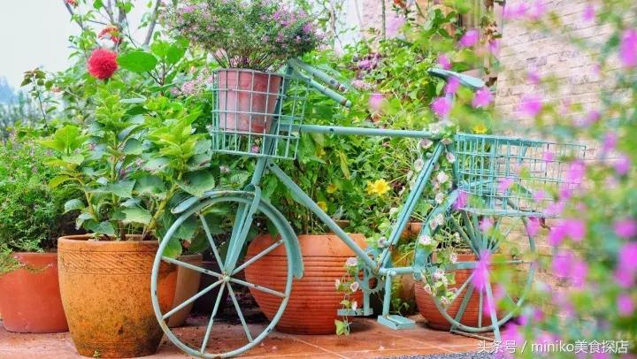 成都周边农场推荐,成都周边最有特色的农场