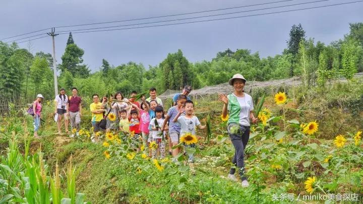 成都周边农场推荐,成都周边最有特色的农场