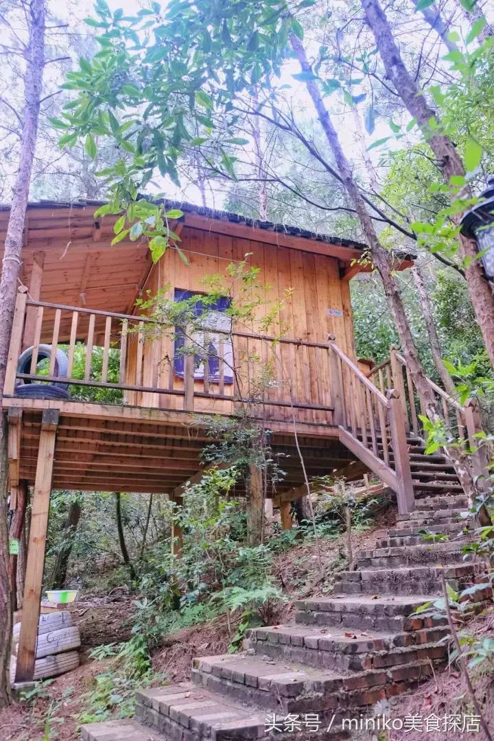 成都周边农场推荐,成都周边最有特色的农场