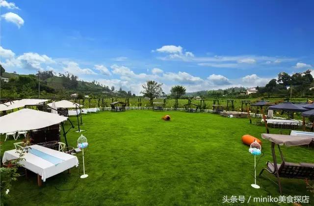 成都周边农场推荐,成都周边最有特色的农场