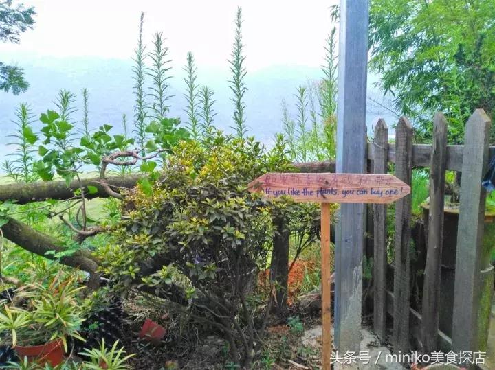 成都周边农场推荐,成都周边最有特色的农场