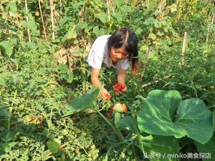 成都周边农场推荐,成都周边最有特色的农场